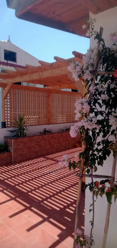 Charpente en bois