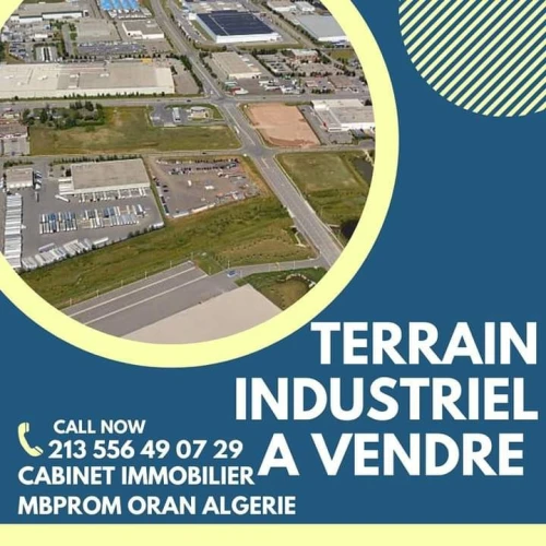 Vente Terrain Oran Sidi chami