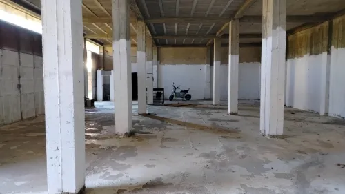 Location Hangar - Usine Tipaza Hadjout