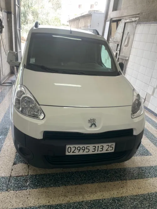 Peugeot Partner 2013 Tepee