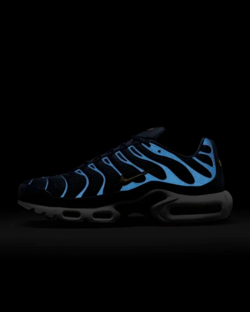 Nike Tn Air Max Plus Edition FFF - Ref FB3350-400 - Original اصلية - Pointure 47.5 / 31 Centimètre 