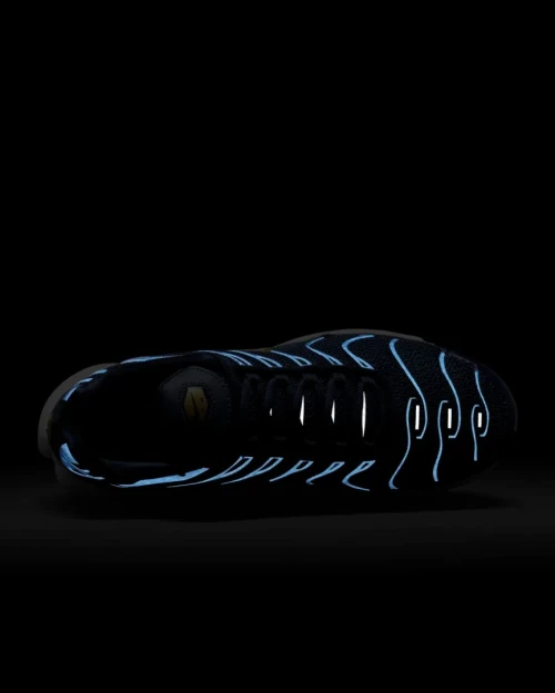 Nike Tn Air Max Plus Edition FFF - Ref FB3350-400 - Original اصلية - Pointure 47.5 / 31 Centimètre 