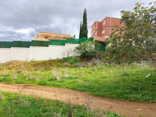 Vente Terrain Tipaza Tipaza