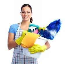Nourrice /garde malade /femme de ménage / auxiliaire de vie/à votre domicile 