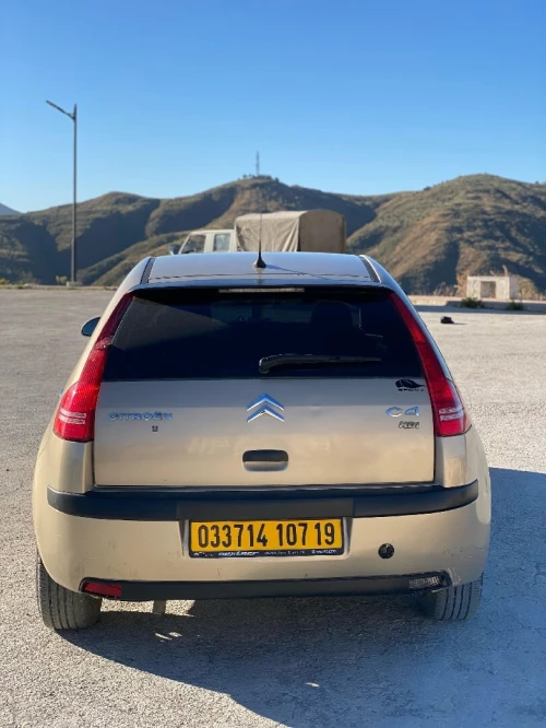 Citroen C4 2007 Vitamine