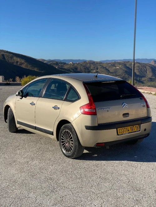 Citroen C4 2007 Vitamine