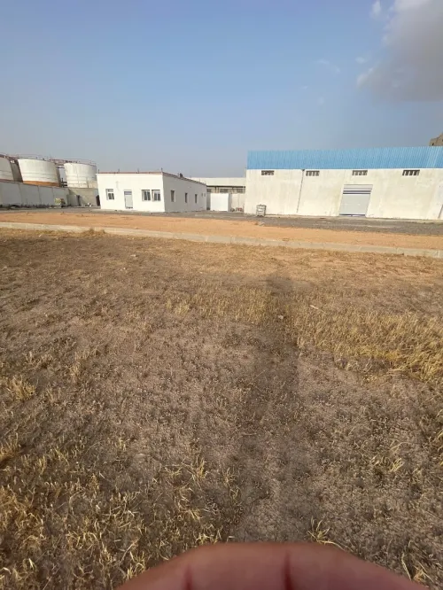 Vente Hangar - Usine Oum El Bouaghi Ain mlila