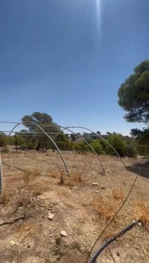 Vente Terrain Agricole Médéa Zoubiria