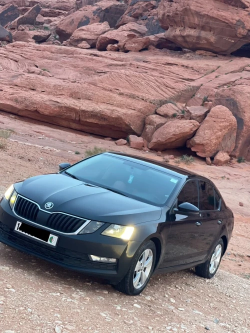 Skoda Octavia 2019 Ambition