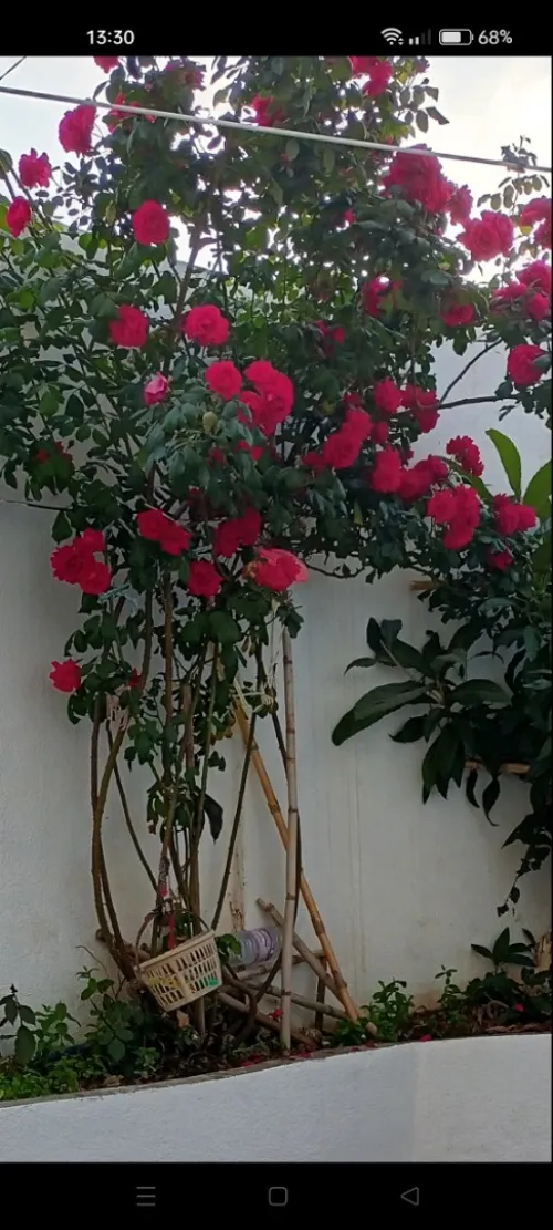 Location vacances Appartement Jijel Ziama mansouriah