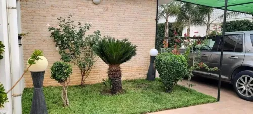 خدمات تهيئة مساحات خضراء و العشب طبيعي