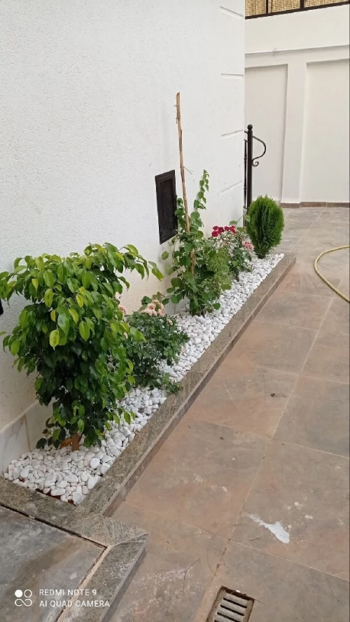 Le meilleur Jardinage et Espace vert et gazon