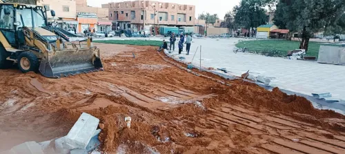 خدمات تهيئة مساحات خضراء و العشب طبيعي