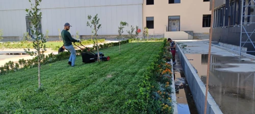 Aménagement Espace vert et pose Gazon naturel