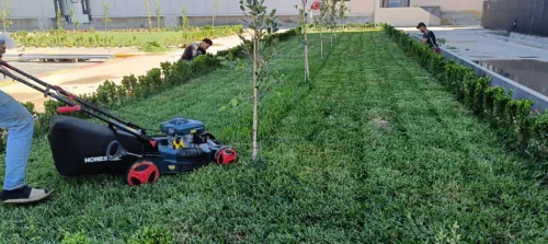 Aménagement Espace vert et pose Gazon naturel