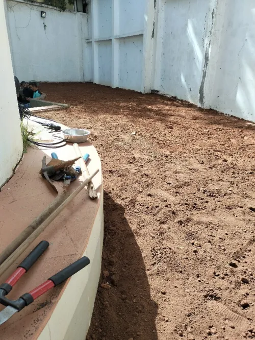 Gazon naturel et Espace vert jardinage 