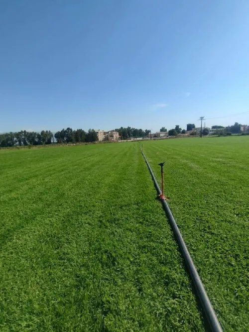Préparation gazon naturel et espace vert