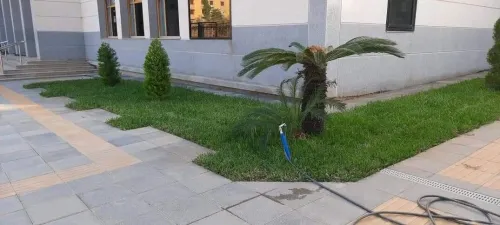 Le meilleur Jardinage et Espace vert et gazon