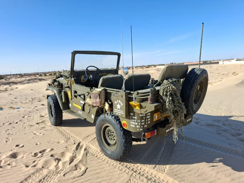 Toyota Land Cruiser 1975 Court