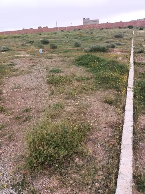 Vente Terrain Mostaganem Sayada