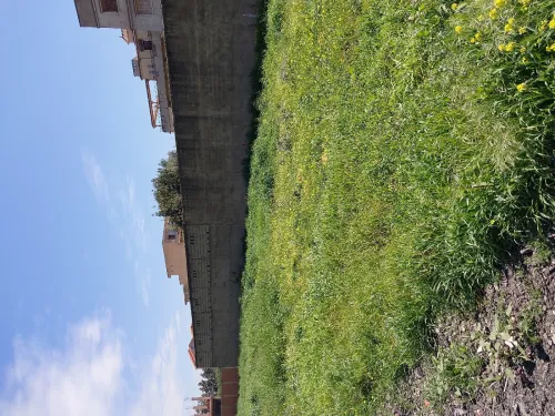 Vente Terrain Alger Birtouta