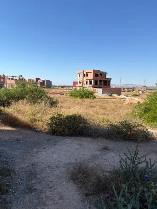 Vente Terrain Tlemcen Zenata