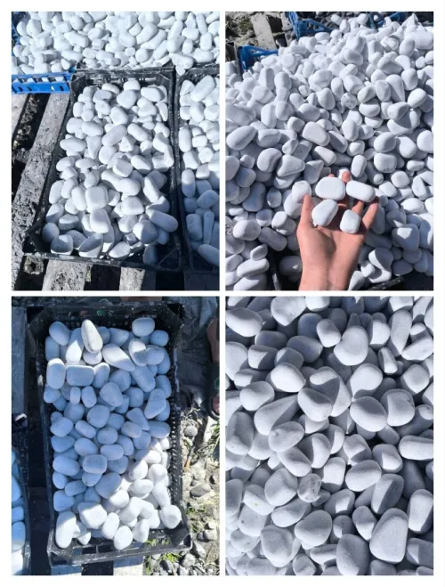 Galet jardin حجر طبيعي للتزين حدائق و مسابح و pierre de décoration galet marbré  حجر تبيض حجر اسود