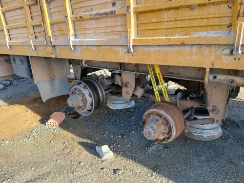 Remarqué tirssam Tirssam 2012