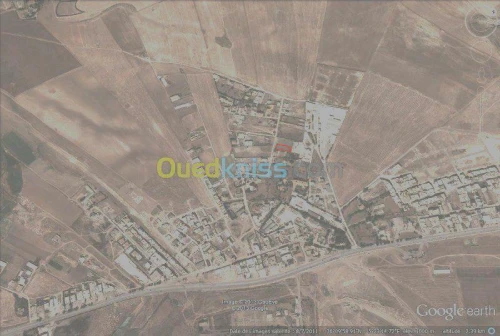 Vente Terrain Sétif Setif