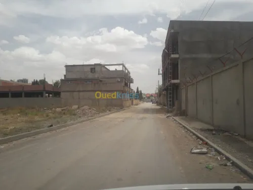 Vente Terrain Sétif Setif