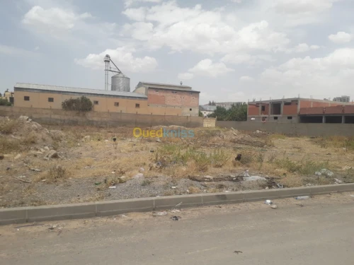 Vente Terrain Sétif Setif