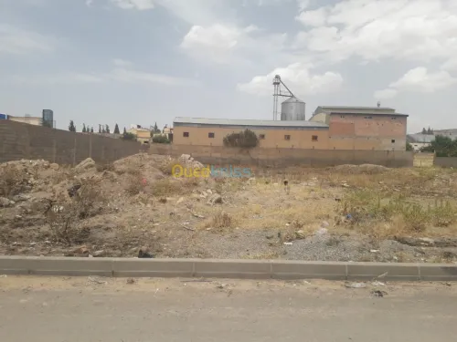Vente Terrain Sétif Setif