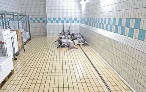 REVÊTEMENT DE SOL ANTI ACIDE