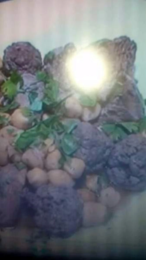 traiteur pour vos fêtes