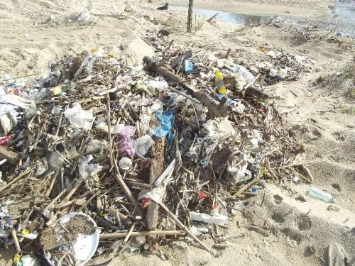 NETTOYAGE DES PLAGES AVEC CRIBLEUSE