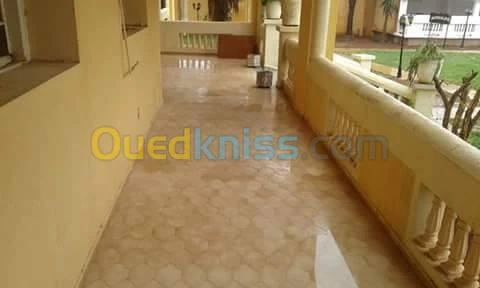 pnsage lustrage polissage + carrelage$