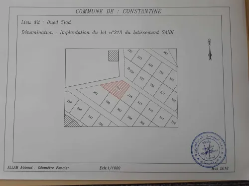Vente Terrain Constantine Constantine