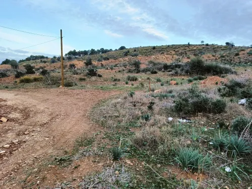 Vente Terrain Constantine Constantine