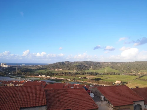 Vente Appartement Tipaza Douaouda