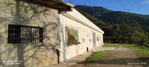 Vente Terrain Agricole Blida Guerrouaou