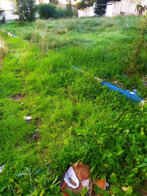 Vente Terrain Alger Cheraga
