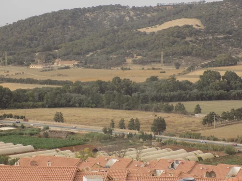 Vente Appartement Tipaza Douaouda