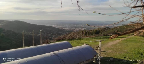 Vente Terrain Agricole Blida Guerrouaou