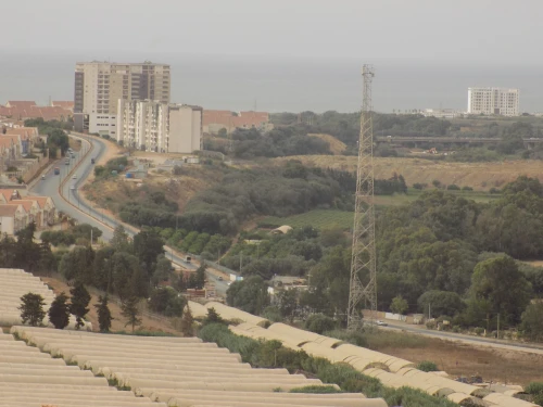 Vente Appartement Tipaza Douaouda