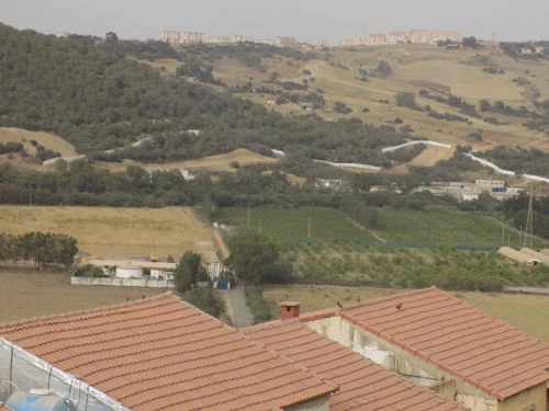 Vente Appartement Tipaza Douaouda