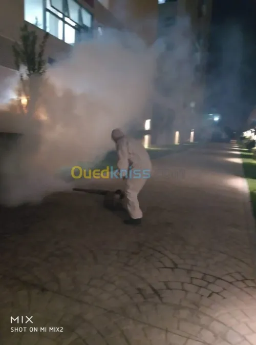 Dératisation, Anti cafards, Anti moustique, Anti fourmis, Anti Punaises de lit, Anti Puces