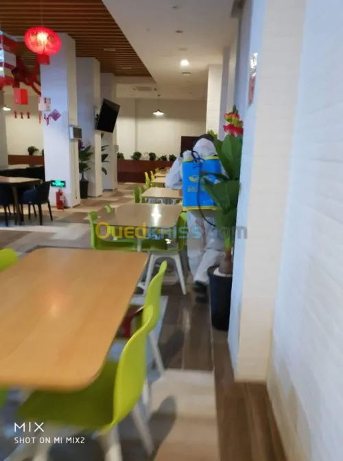 Dératisation, Anti cafards, Anti moustique, Anti fourmis, Anti Punaises de lit, Anti Puces
