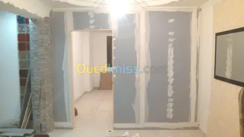 Décoration Placoplatre 