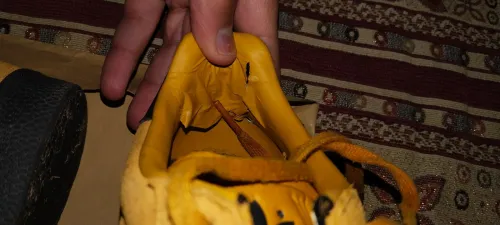 Adidas gazelle