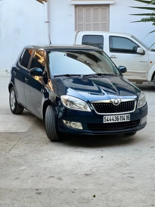 Skoda Fabia 2014 Fresh